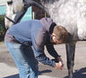 Tierarzt Michael Hüpen